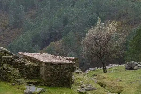 Ruta polos Muíños do Folón e do Picón (O Rosal)