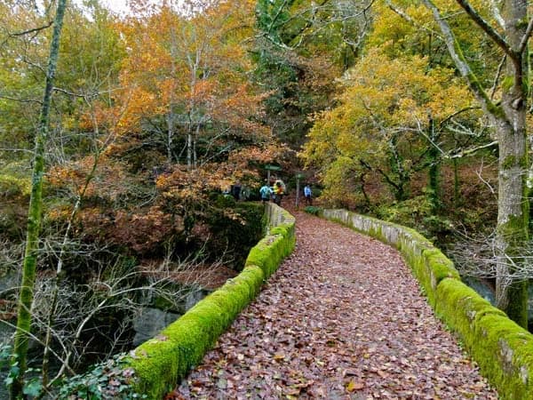 De Carballiño a Pazos de Arenteiro e Leiro