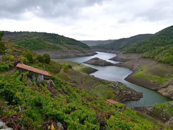 Ruta polos socalcos de Belesar
