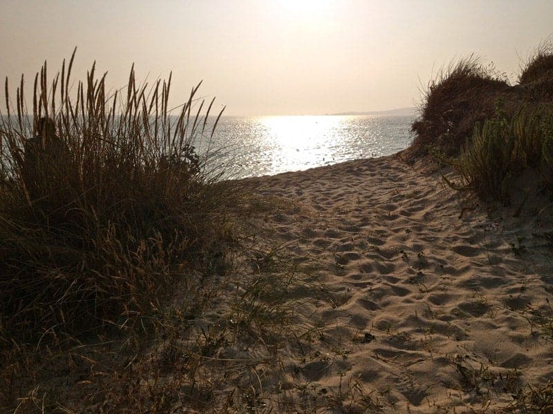 Ruta Especial polo Salnés