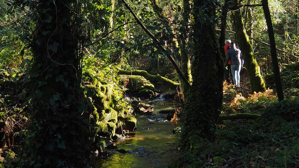 Ruta do río Bardoso