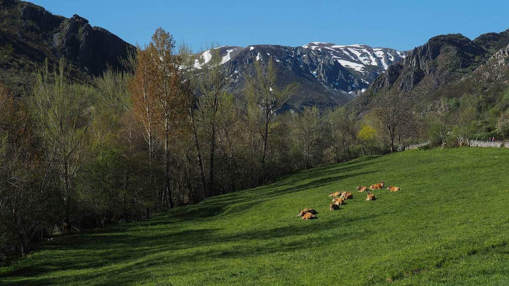 Riolago. Lago Chao. Babia