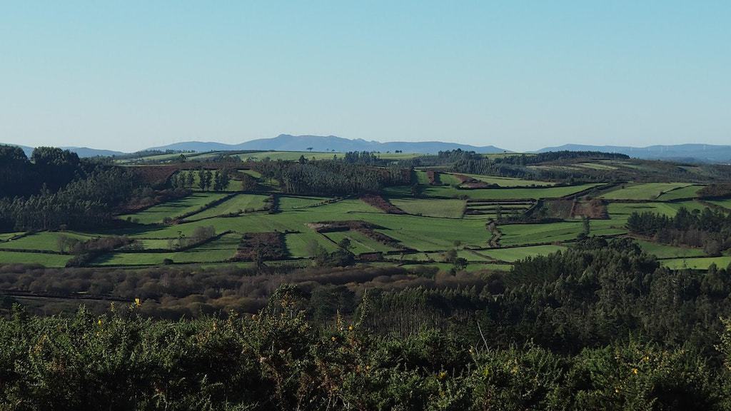 Pico de Meda