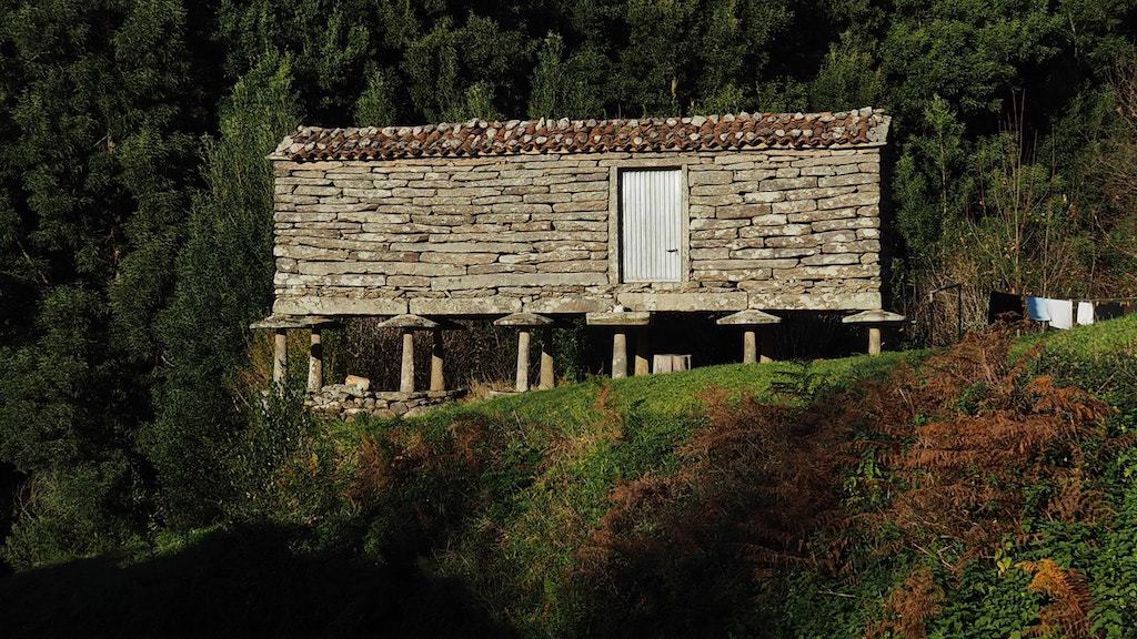 Pico de Meda