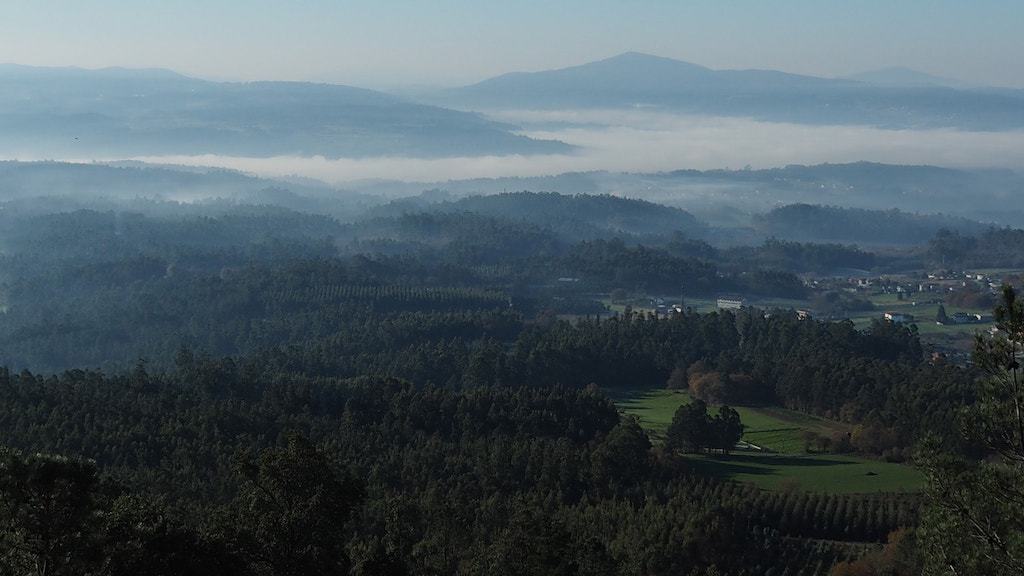 Pico Sacro