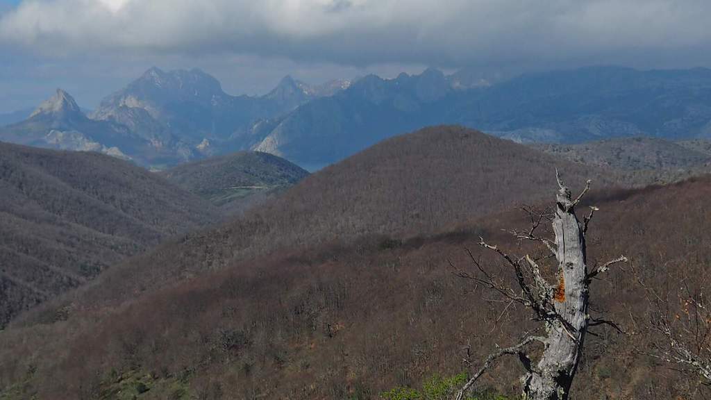 Pola serra de Hormas
