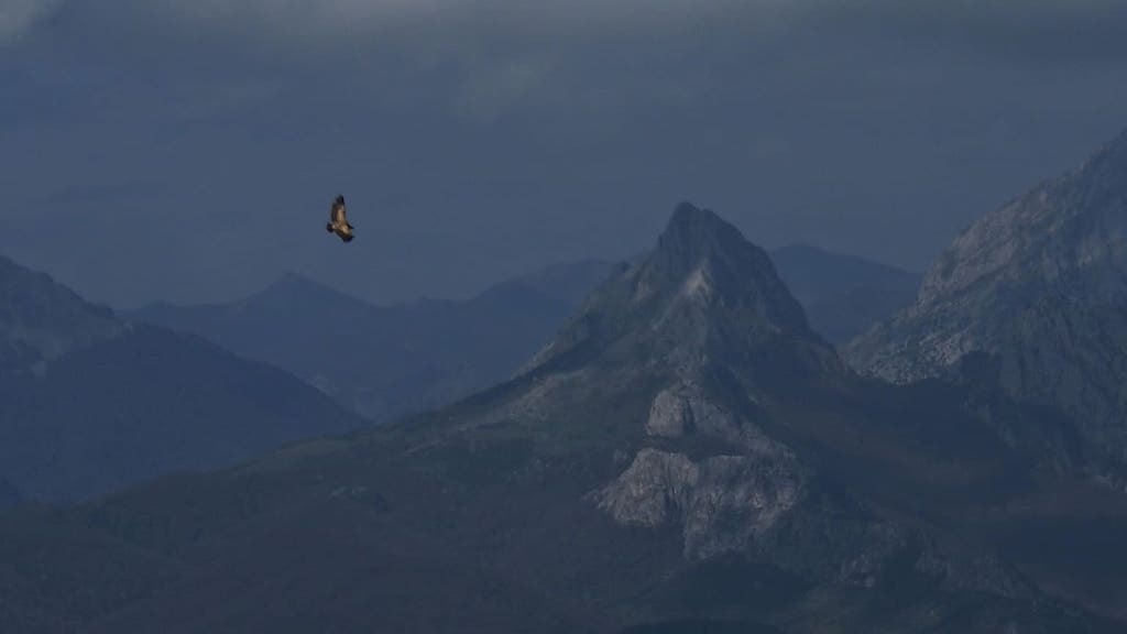 Pola serra de Hormas