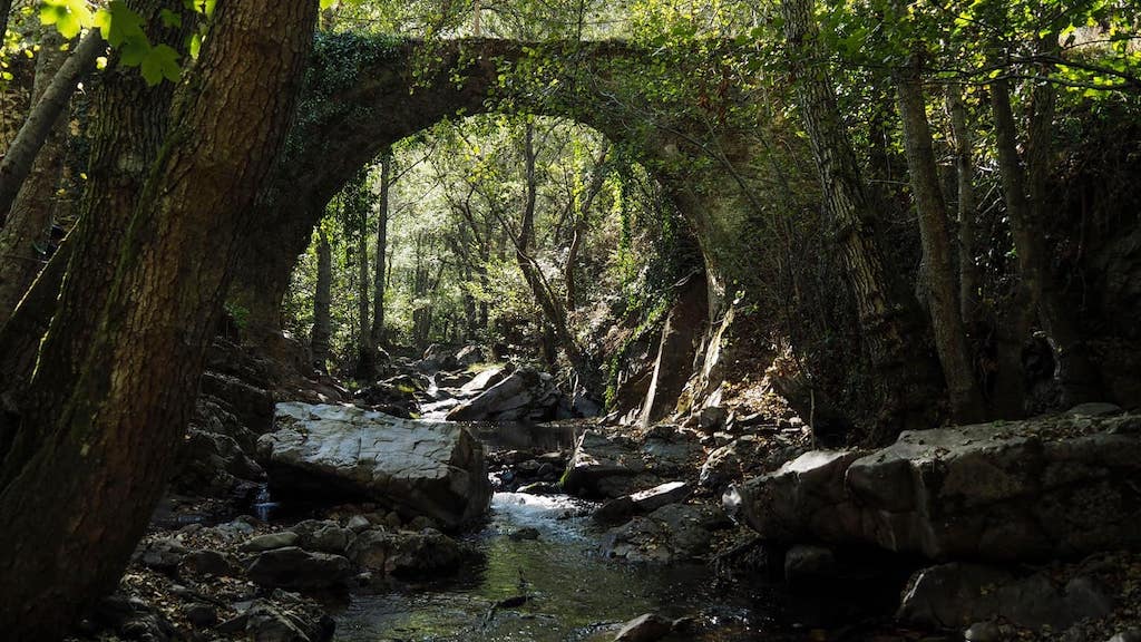 Las Puentes de Malpaso