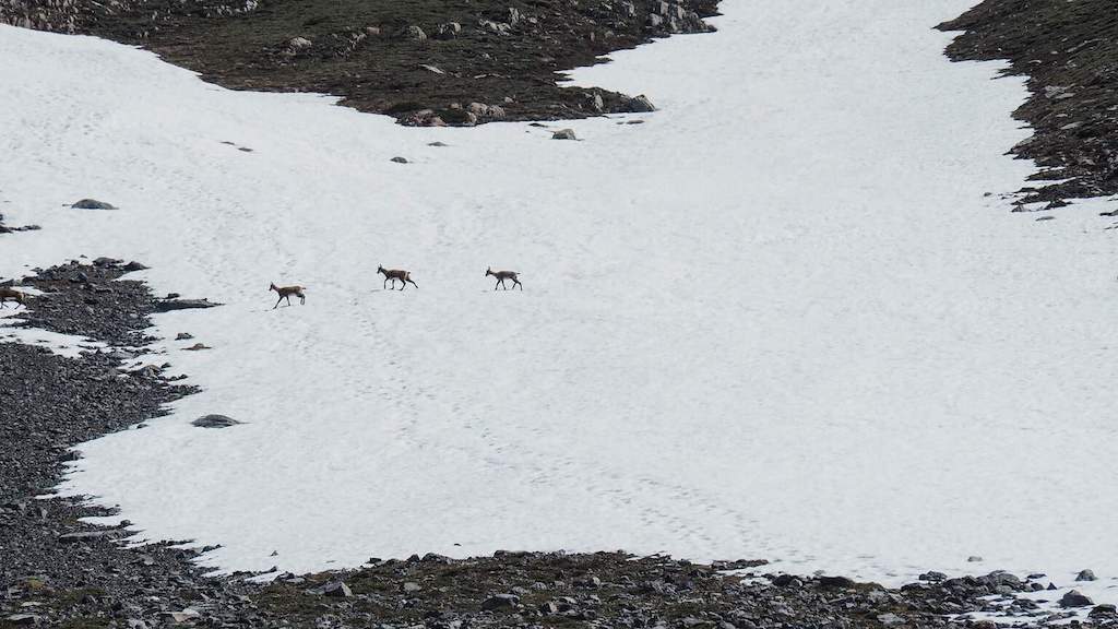 Polos arredores de Pena Ubiña