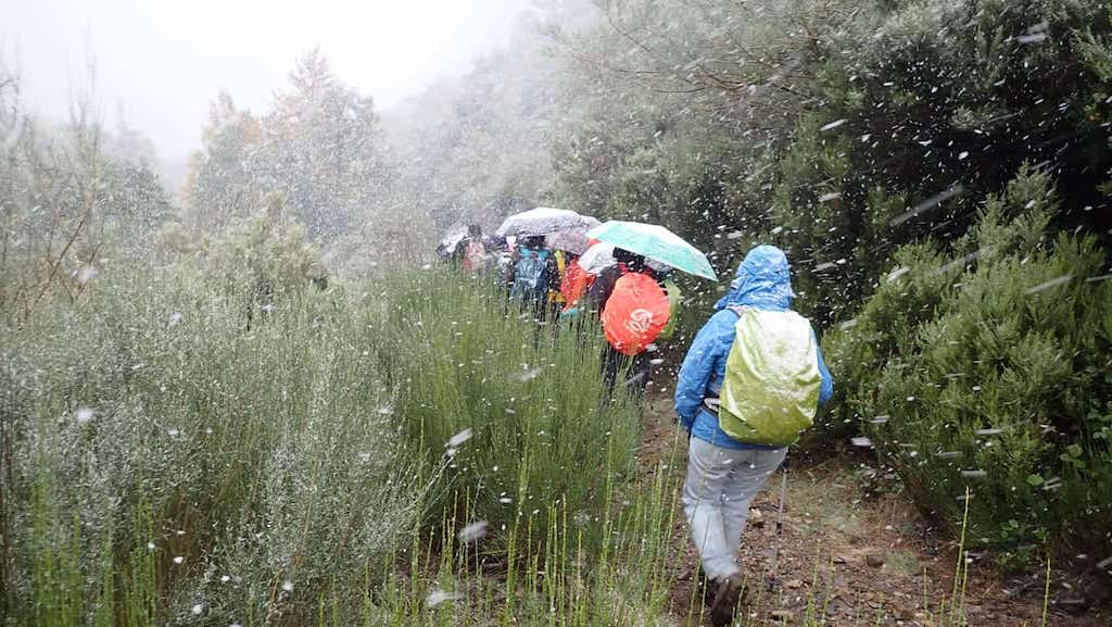 Ruta do Pico Catoute
