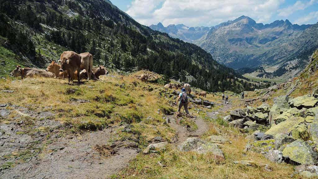 Tuc de Mulleres. Coll de Toro
