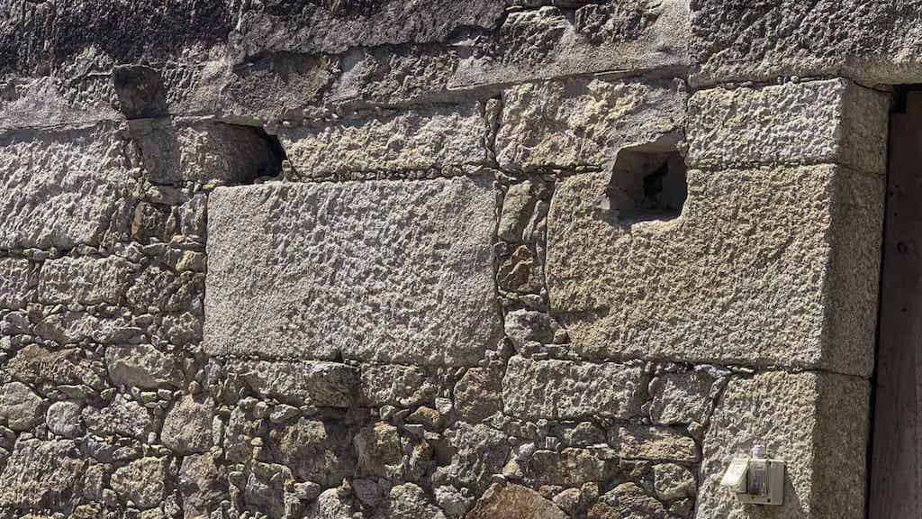 Lacena das abellas en Magán