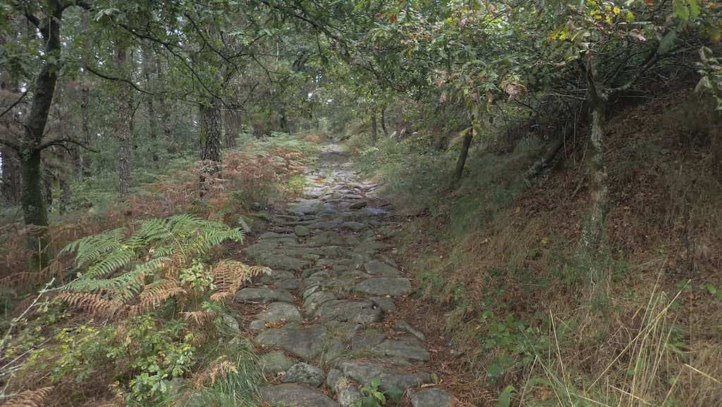 Monte Xesteiras