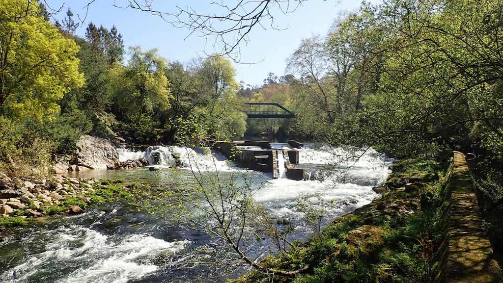 Senda do río Lérez
