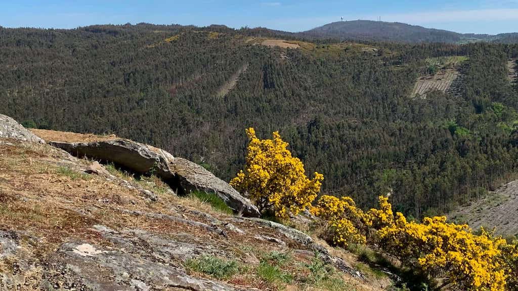 Monte San Marcos e Ruta da Auga-Muiños de Riamonte