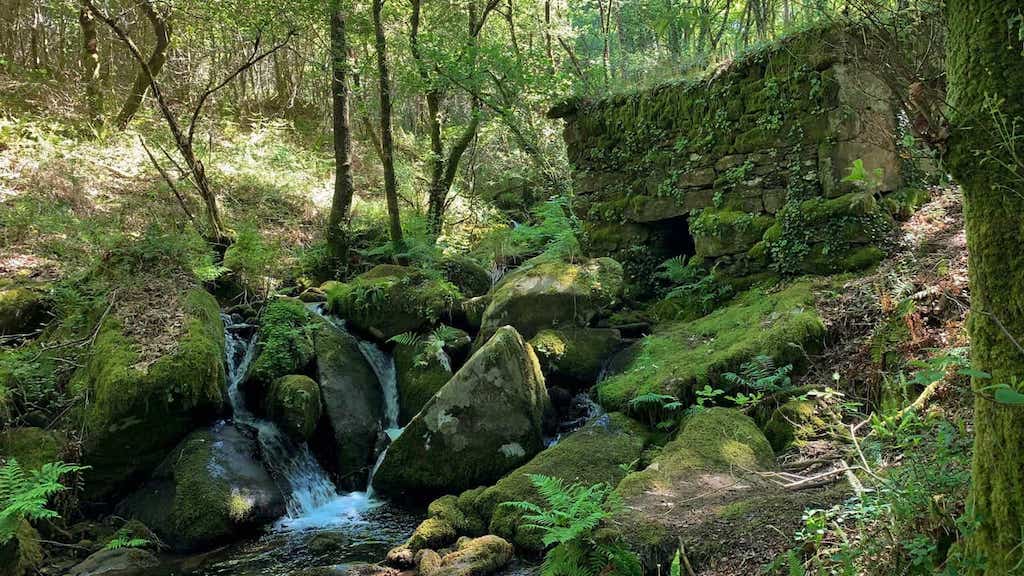Monte San Marcos e Ruta da Auga-Muiños de Riamonte