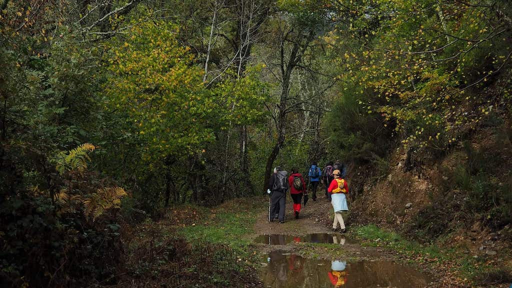 Ruta da Braña de Fontellada