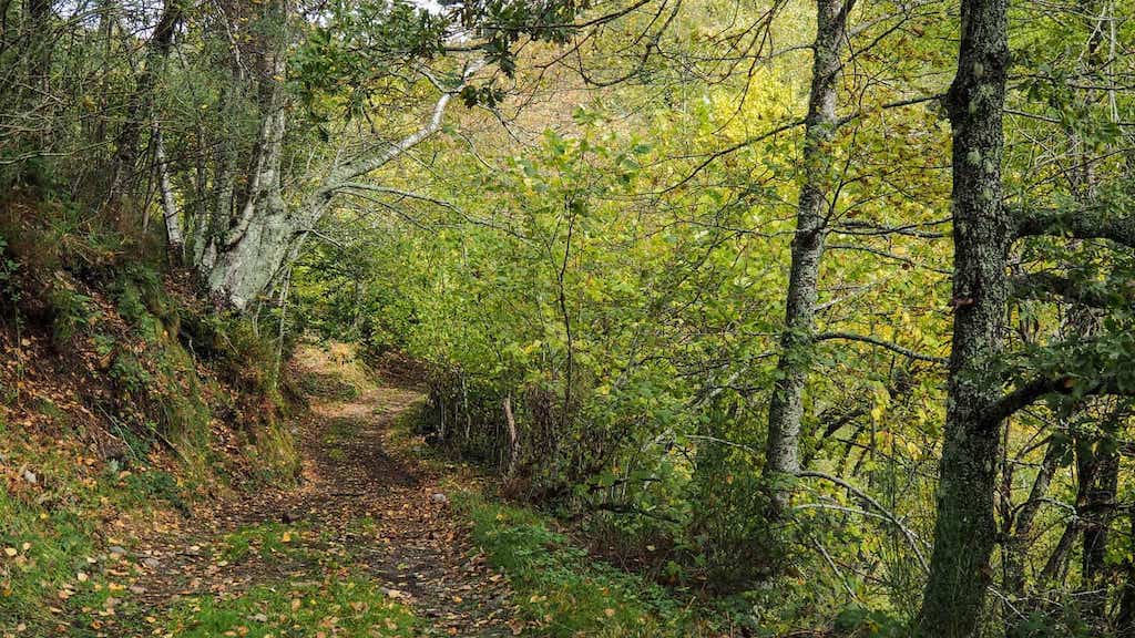 Ruta da Braña de Fontellada