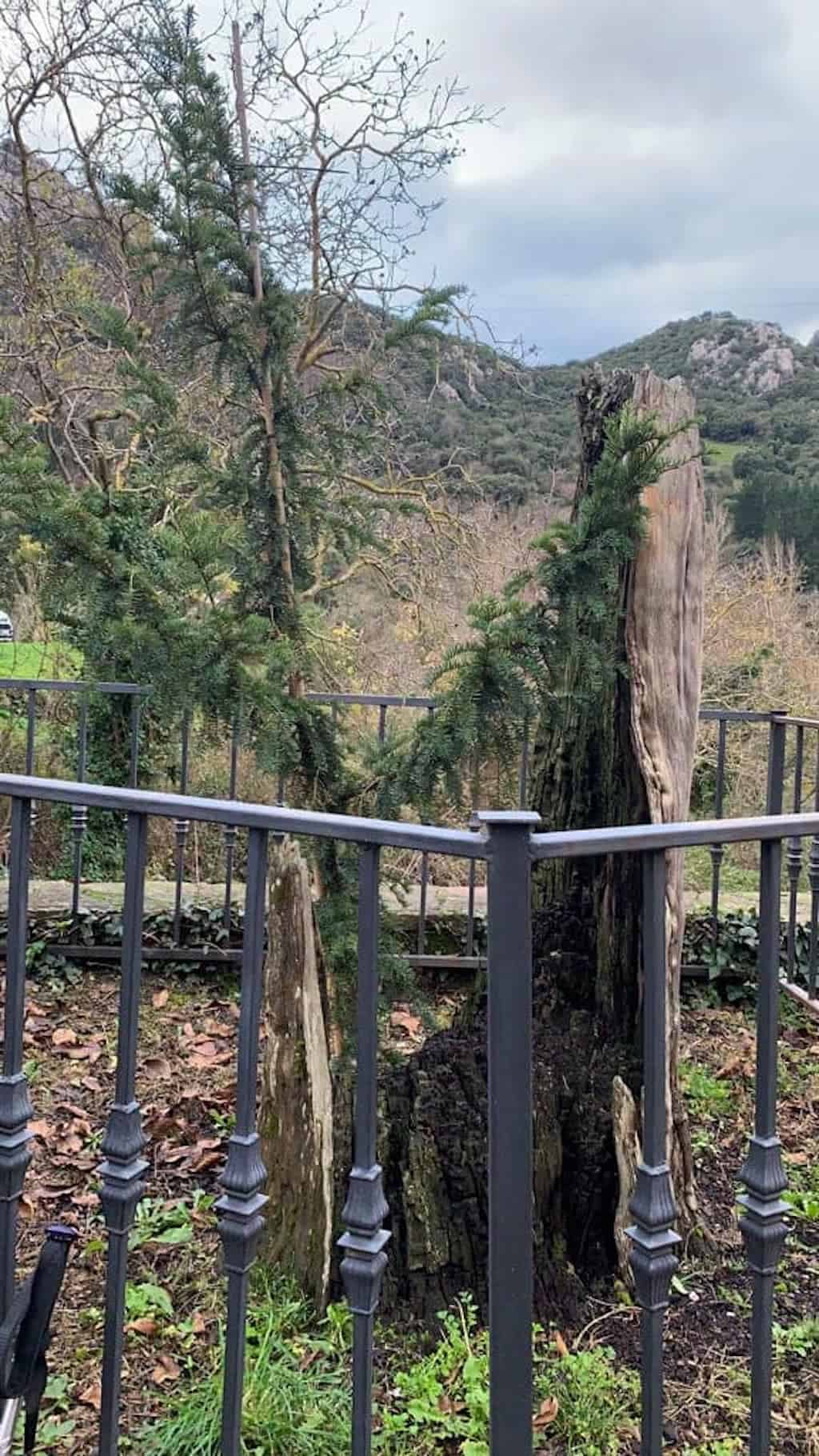 Liébana. Ruta de Lebeña a Colláu Joz
