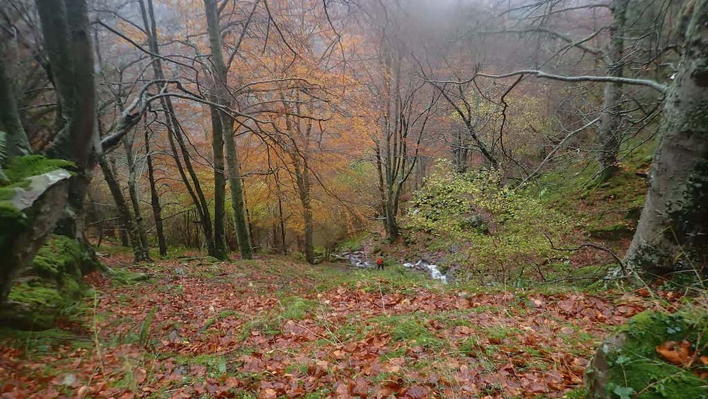 Liébana. Ruta de Lebeña a Colláu Joz