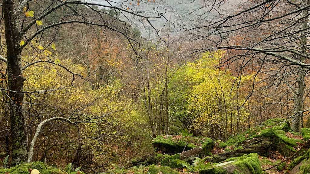 Liébana. Ruta de Lebeña a Colláu Joz