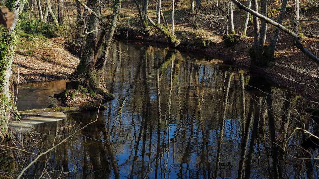 Ruta do Río Loña. Pereiro de Aguiar