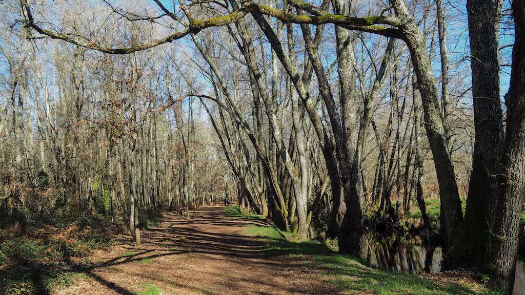 Ruta do Río Loña. Pereiro de Aguiar