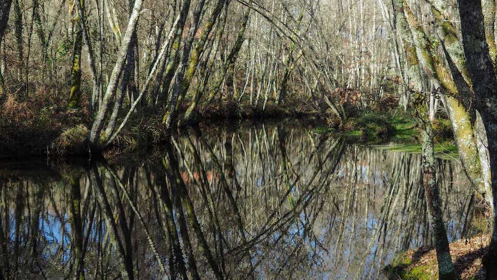 Ruta do Río Loña. Pereiro de Aguiar