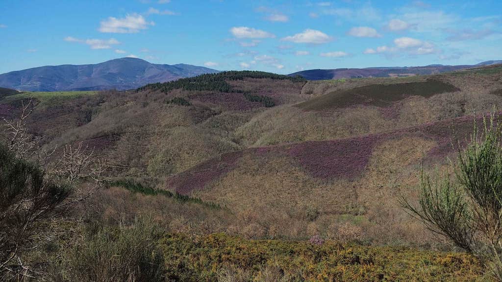 Fervenza de Canteijeira