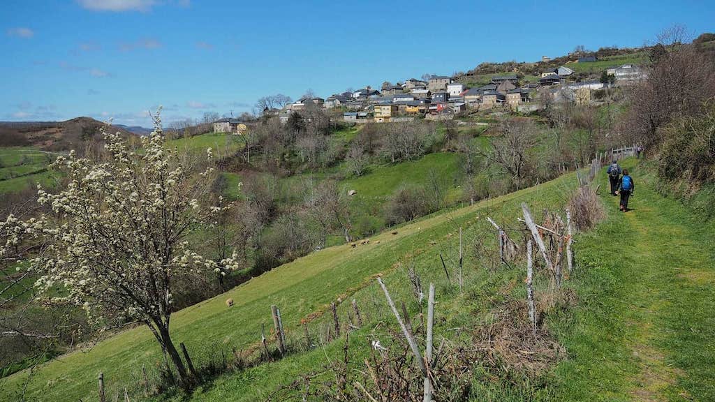 Fervenza de Canteijeira