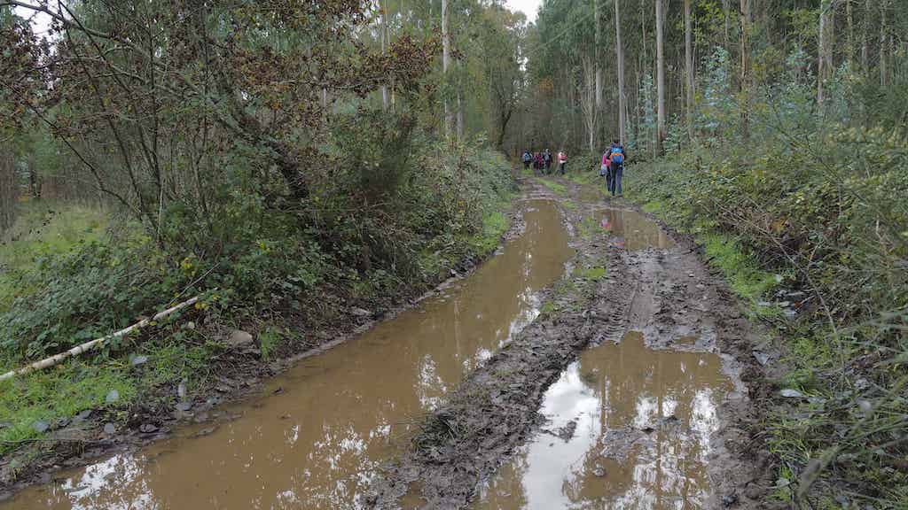 Serra do Candán. Neveiras de Fixó