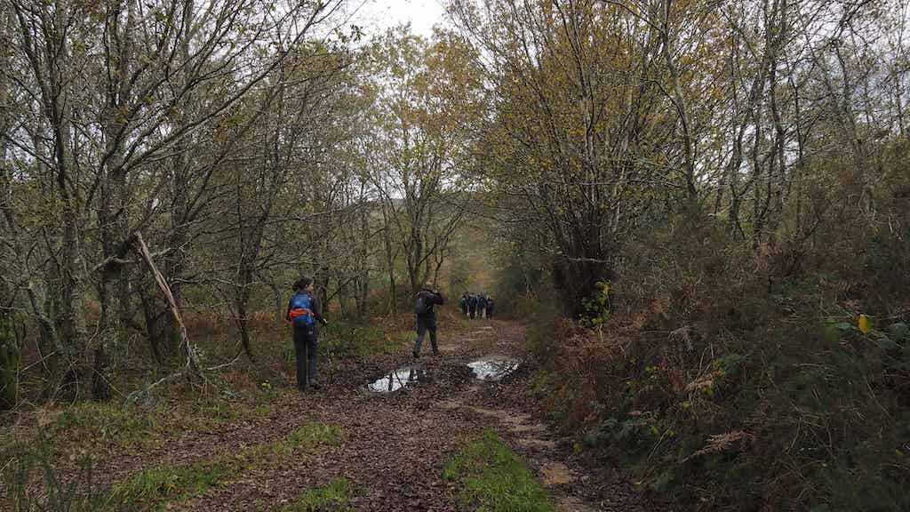Serra do Candán. Neveiras de Fixó