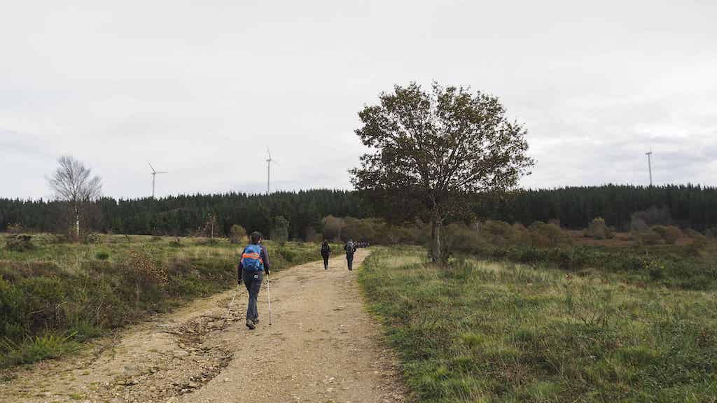 Serra do Candán. Neveiras de Fixó
