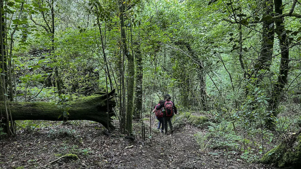 Val do río Arestiño