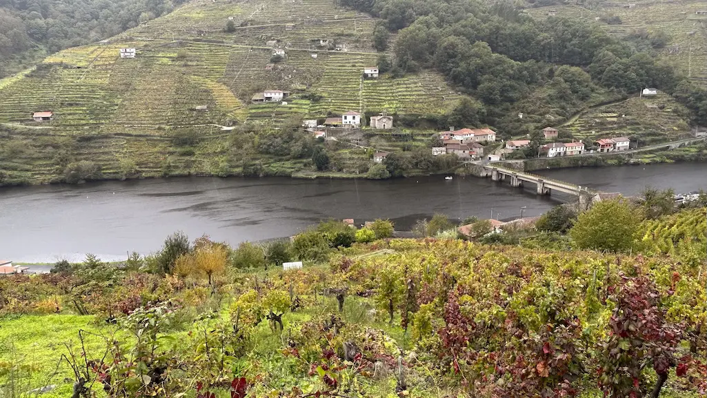 Ribeira Sacra do Miño. Ruta por Belesar